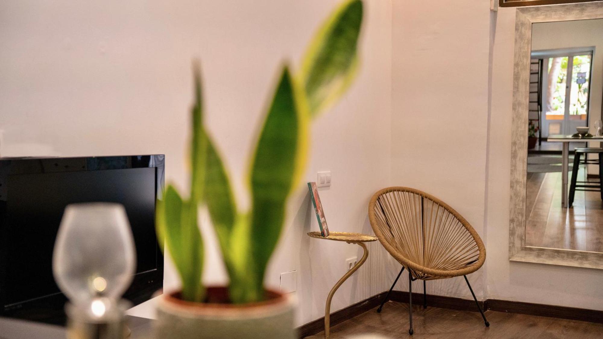 Apartment Next To Park Guell 巴塞罗那 外观 照片